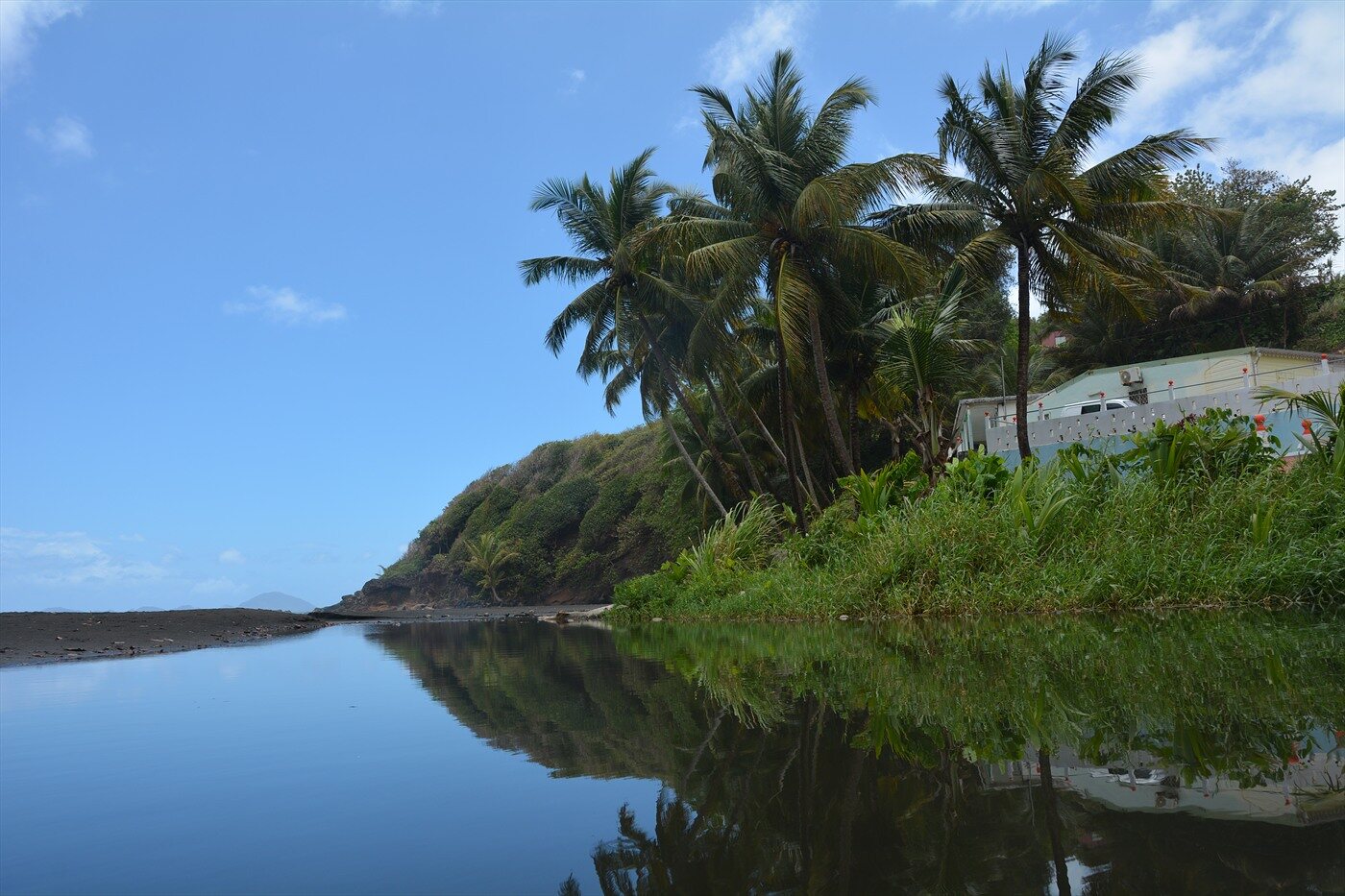 Palm trees reflected beside a Caribbean coastal location